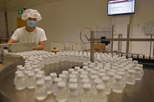 GE醫療堅定扎根中國信心，以更大規模參展第五屆進博會